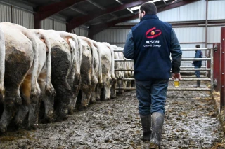 Un accompagnement de plus en plus pointu !