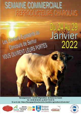 Le moment d'acheter