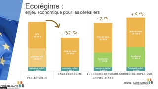 Effets de la future PAC en grandes cultures