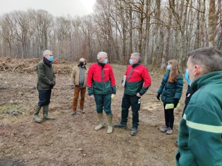 Plan de relance forêts