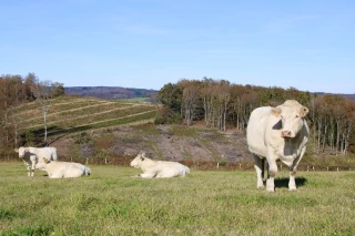 Coûts de production : ils augmentent !