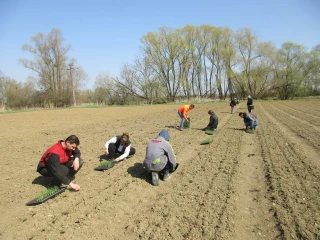 Maraîchage, nous voilà