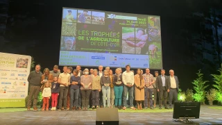 Inspirations gagnantes