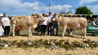 Retour aux choses sérieuses