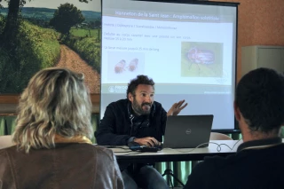 Hannetons : des solutions envisageables ?