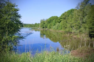 « Les étangs sont une chance pour la nature s’ils sont bien gérés  »