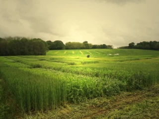 Chambre d'agriculture