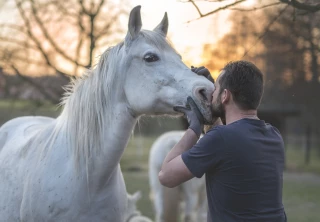 Savoir parler aux chevaux