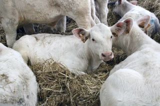 Une situation toujours plus favorable et des enseignements