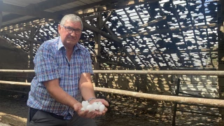 Le ciel leur est tombé sur la tête