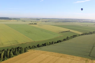 Dérogation possible pour l'implantation de culture dérobées SIE