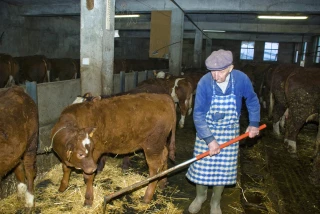 Démographie agricole en BFC : plus jeunes et plus vieux !