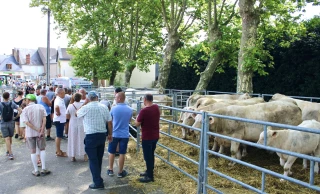 Moulins-Engilbert au rendez-vous