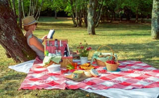 Le retour des Fantastic Picnic