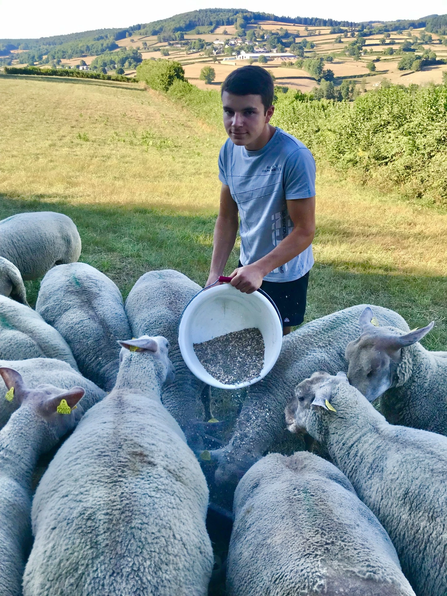 Benoit Buchli, 18 ans, Bac pro CGEA polyculture-élevage