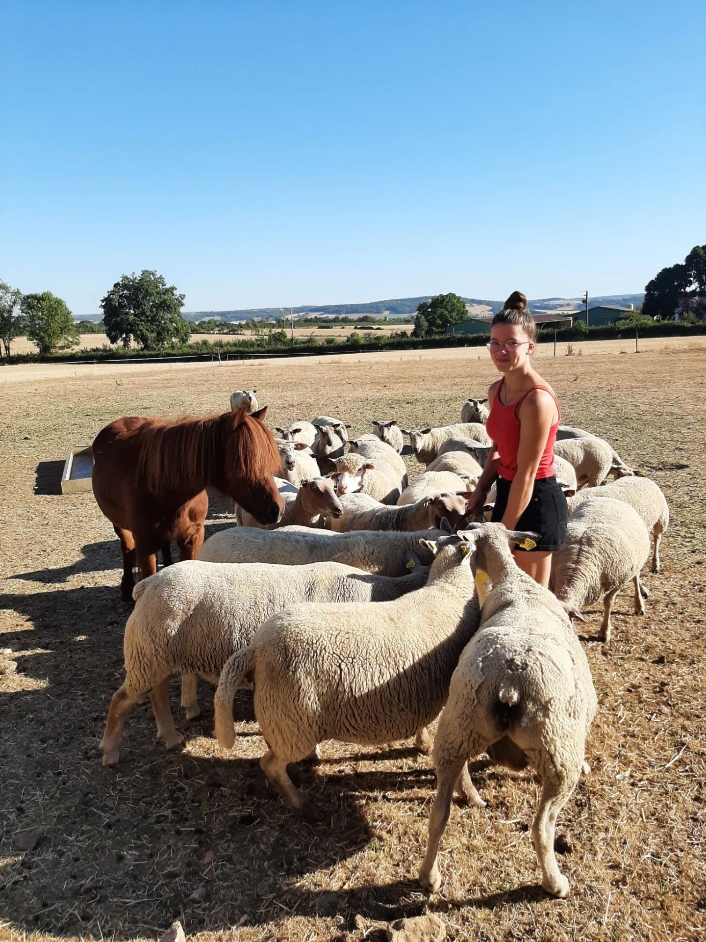 Maëlys Diot, 17 ans, Bac pro CGEA polyculture-élevage
