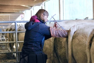 Une aide précieuse pour plus de sérénité