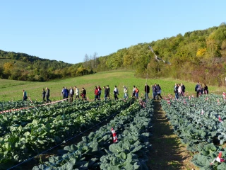 Les Jardins du Coteau