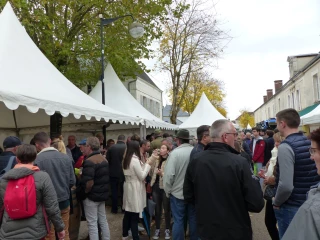 Fête des vins de Chablis