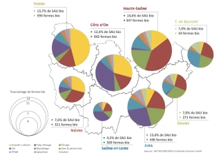 Observatoire régional bio BFC