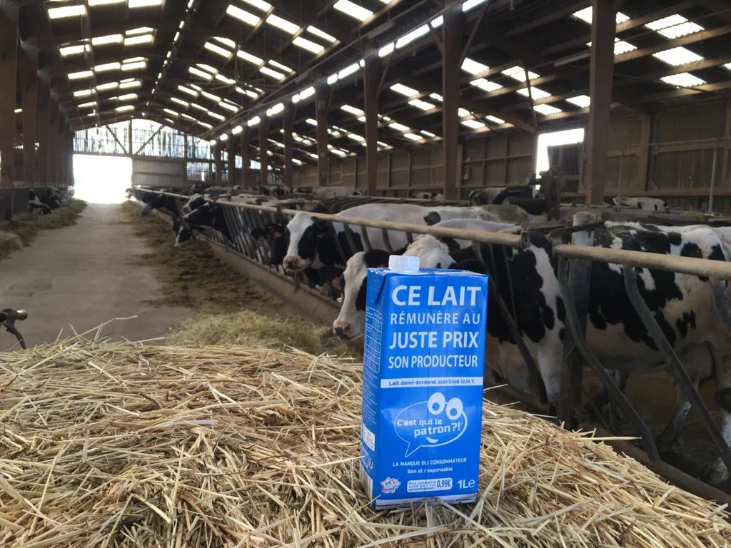 Lipide comme du lait