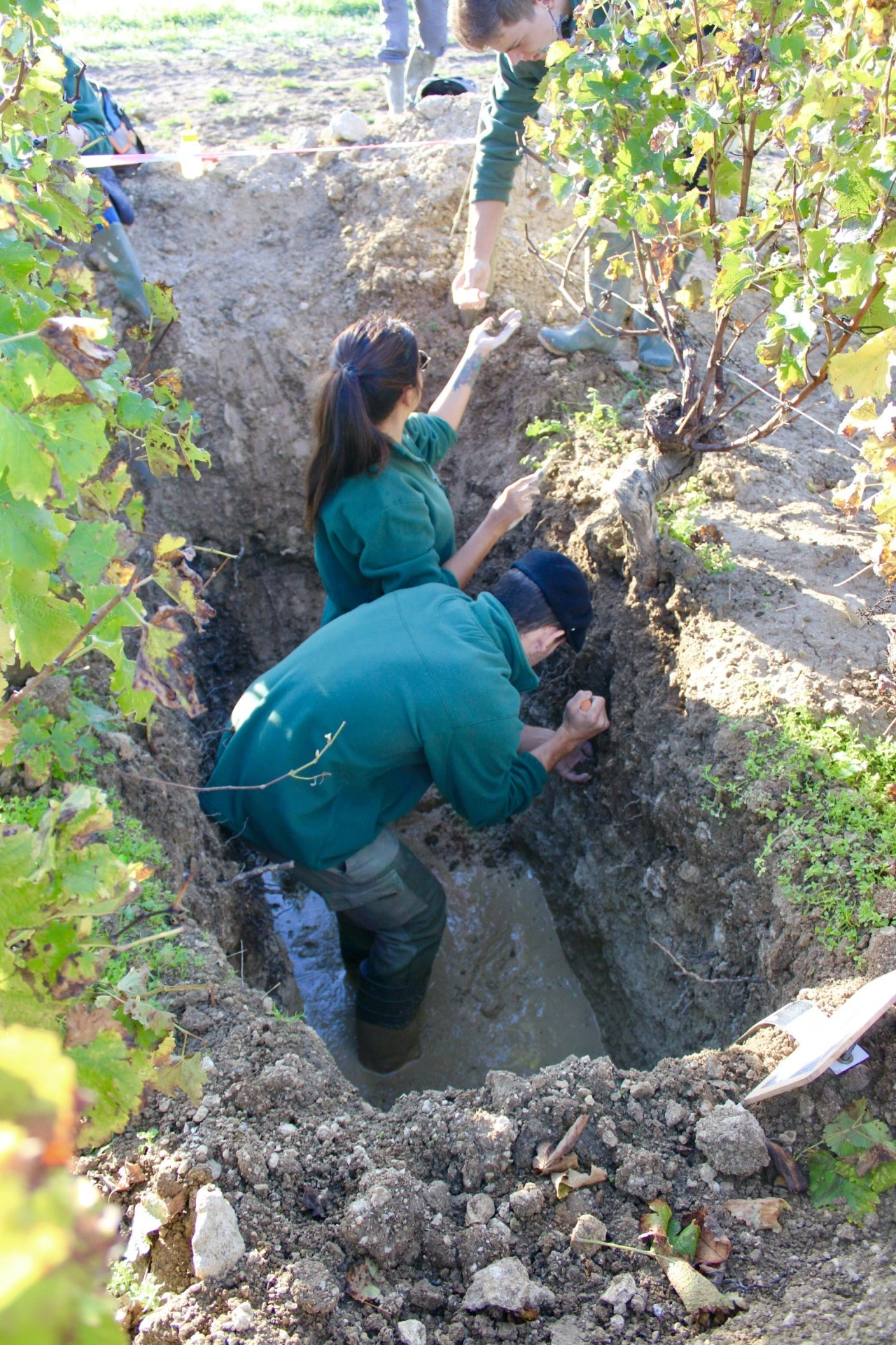 Du côté des étudiants
