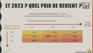 Bovins viande : des niveaux de prix inédits, mais gare  aux coûts