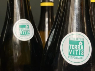 Viti : AG Terra Vitis BFC