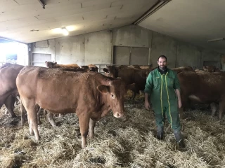 Mortellaro, quèsaco ?