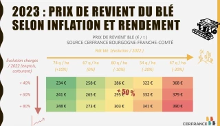 Fermoscopie bilan grandes cultures