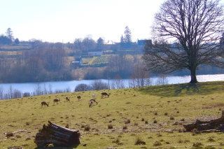 Nouveautés dans le Morvan 