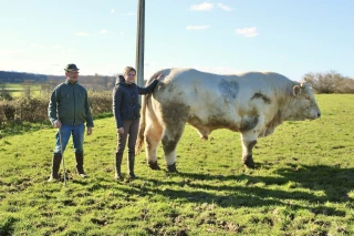 « C'est l'œil qui prime »