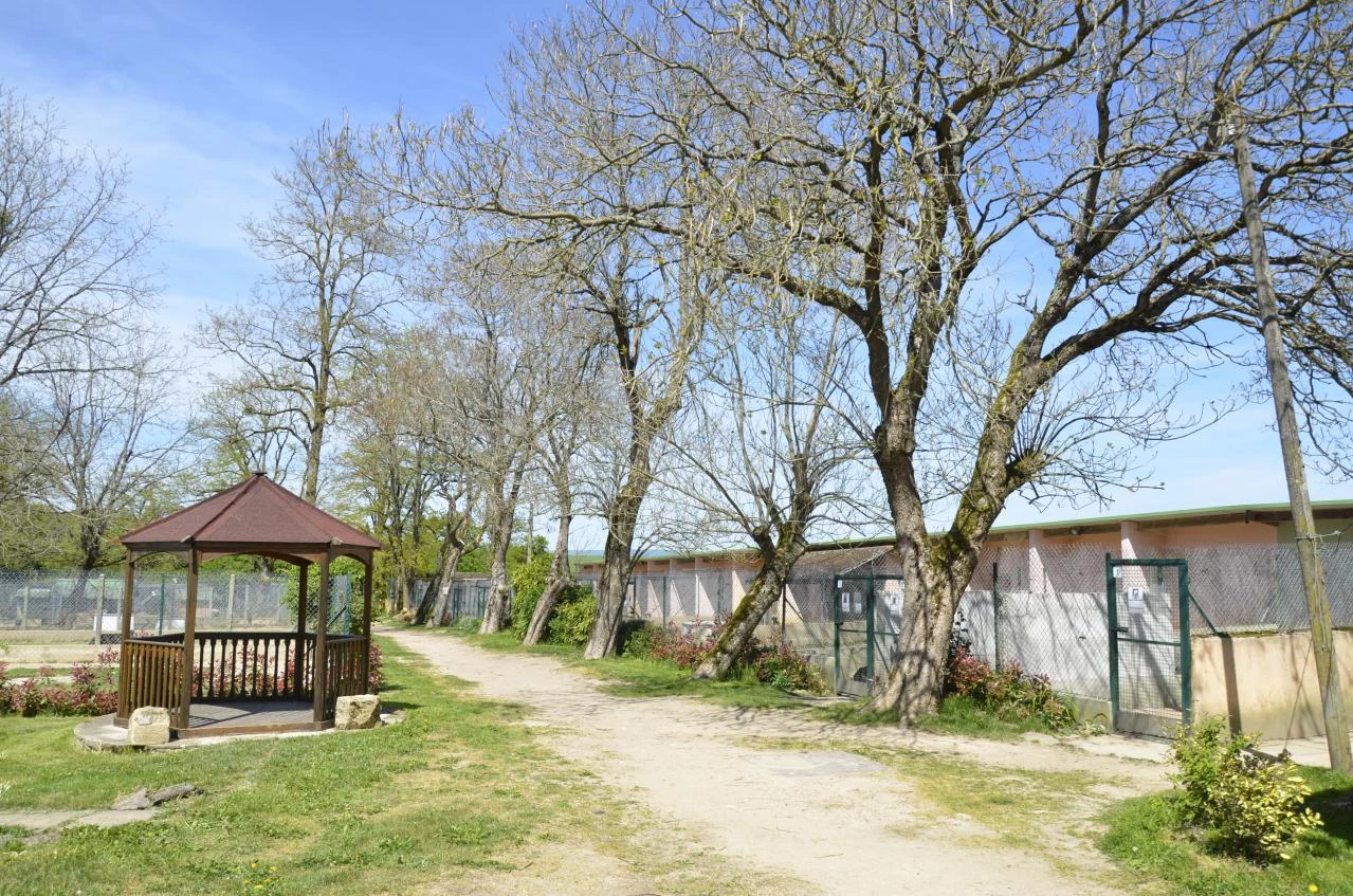 Photo à mettre