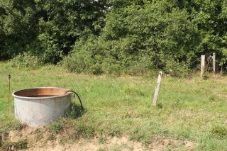 Abreuvement au pré, quantité et qualité : quelles solutions ?