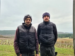 Prestation de service pour le travail de la vigne