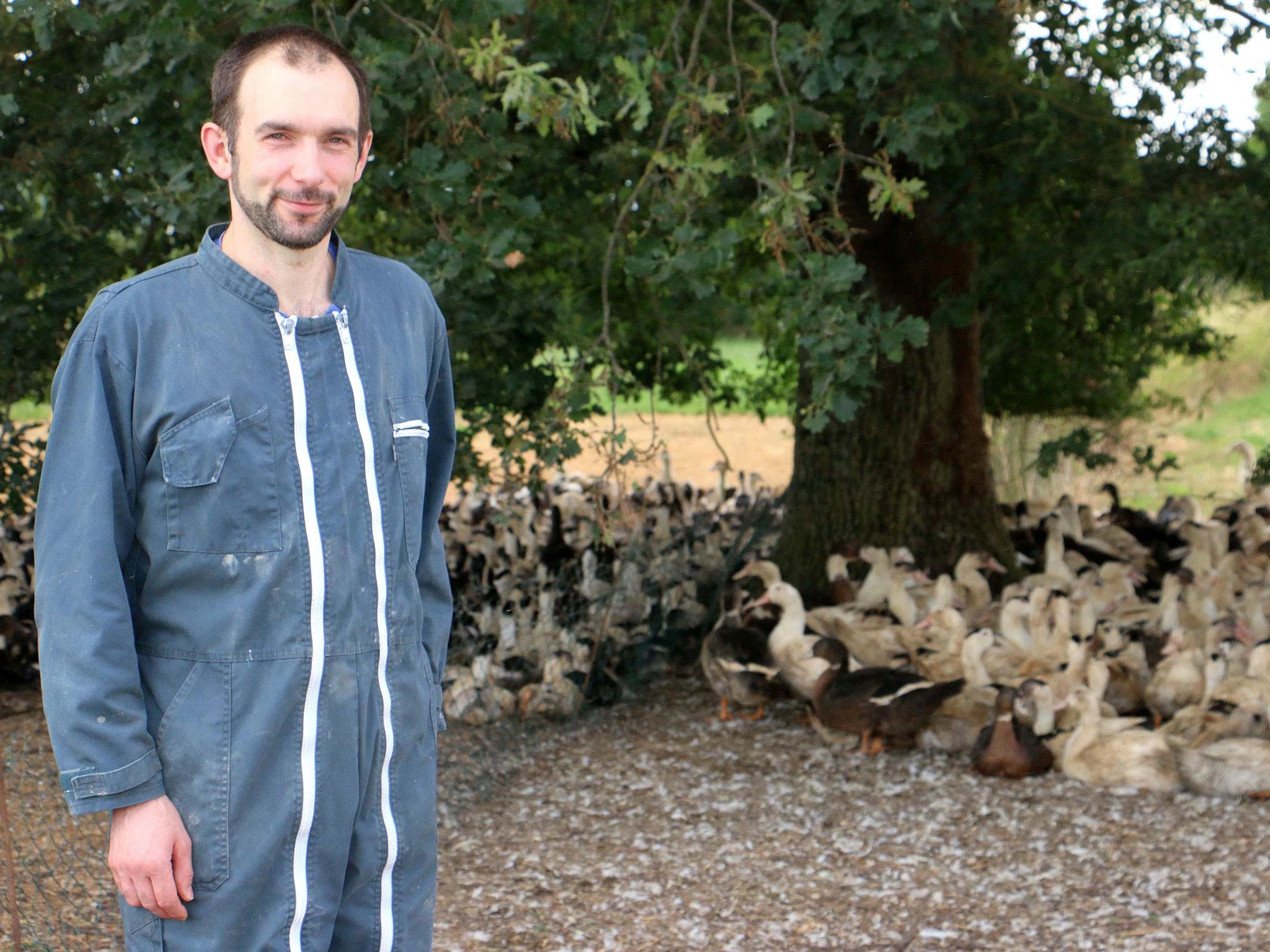 Printemps à la ferme