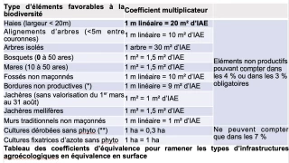 Tous les détails de la BCAE 8-Protection de la biodiversité