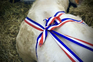 Du changement au Comité des foires et concours