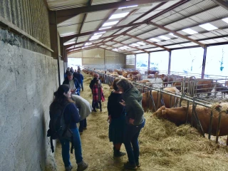 Visite de ferme à Ouroux en Morvan