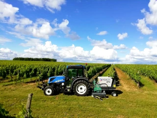 Des électrodes pour désherber sous le rang des vignes