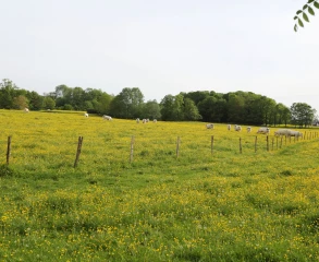 La FRSEA de Bourgogne Franche-Comté réagit