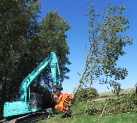 Un groupe d'agriculteurs engagé dans la valorisation du bois