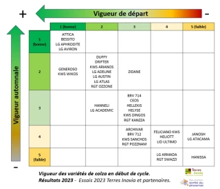 Le bon équilibre entre variétés et gestion du risque ravageurs