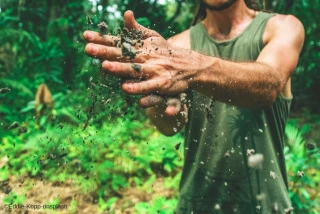 Permettre à des détenus de préparer leur réinsertion en travaillant dans l'agriculture