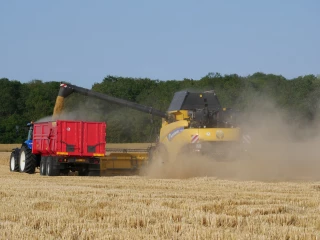 Un comparatif entre les productions de la Nièvre, de l'Yonne et de la Côte-d'Or