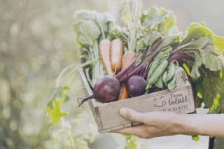 Premier marché de producteurs semi-nocturne