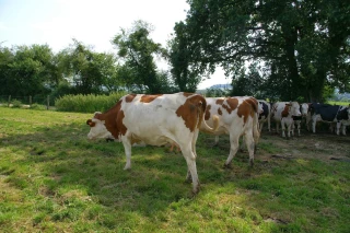 Éviter les pertes de productivité qui vont avec une chaleur excessive