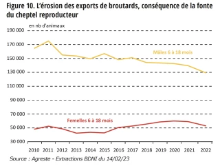 Un secteur marqué par la décapitalisation