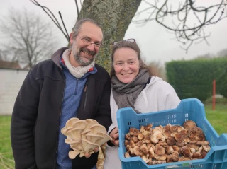 Des champignons bios dans des conteneurs