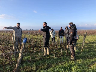 Formations pour les métiers de la vigne et du vin